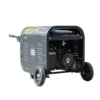 BISON 2kW Portable Gasoline Generator — BS2500