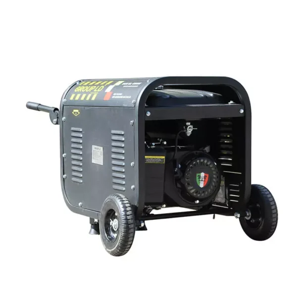 BISON 2kW Portable Gasoline Generator — BS2500